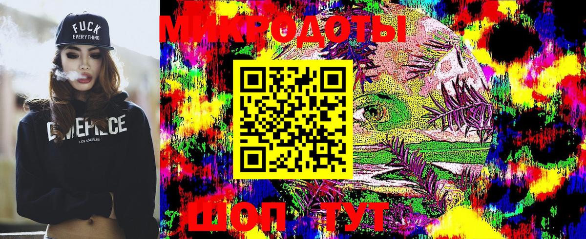 Галлюциногенные грибы Psilocybe Кингисепп