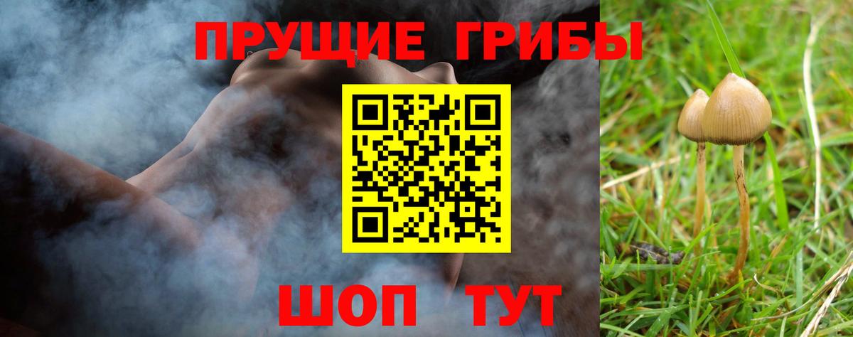 Кингисепп  Галлюциногенные грибы Magic Shrooms  Вход с VPN 